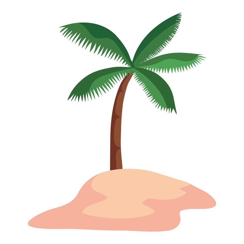 tree palm beach vector