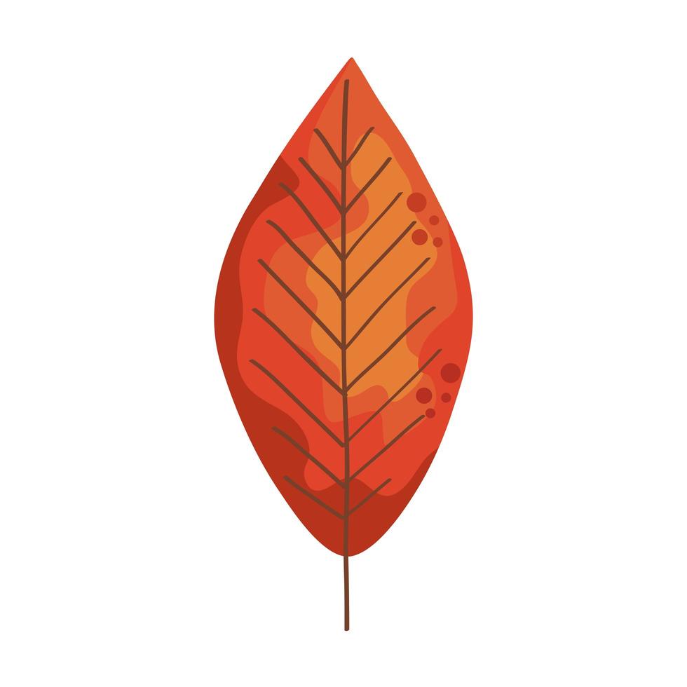 hoja seca de otoño vector