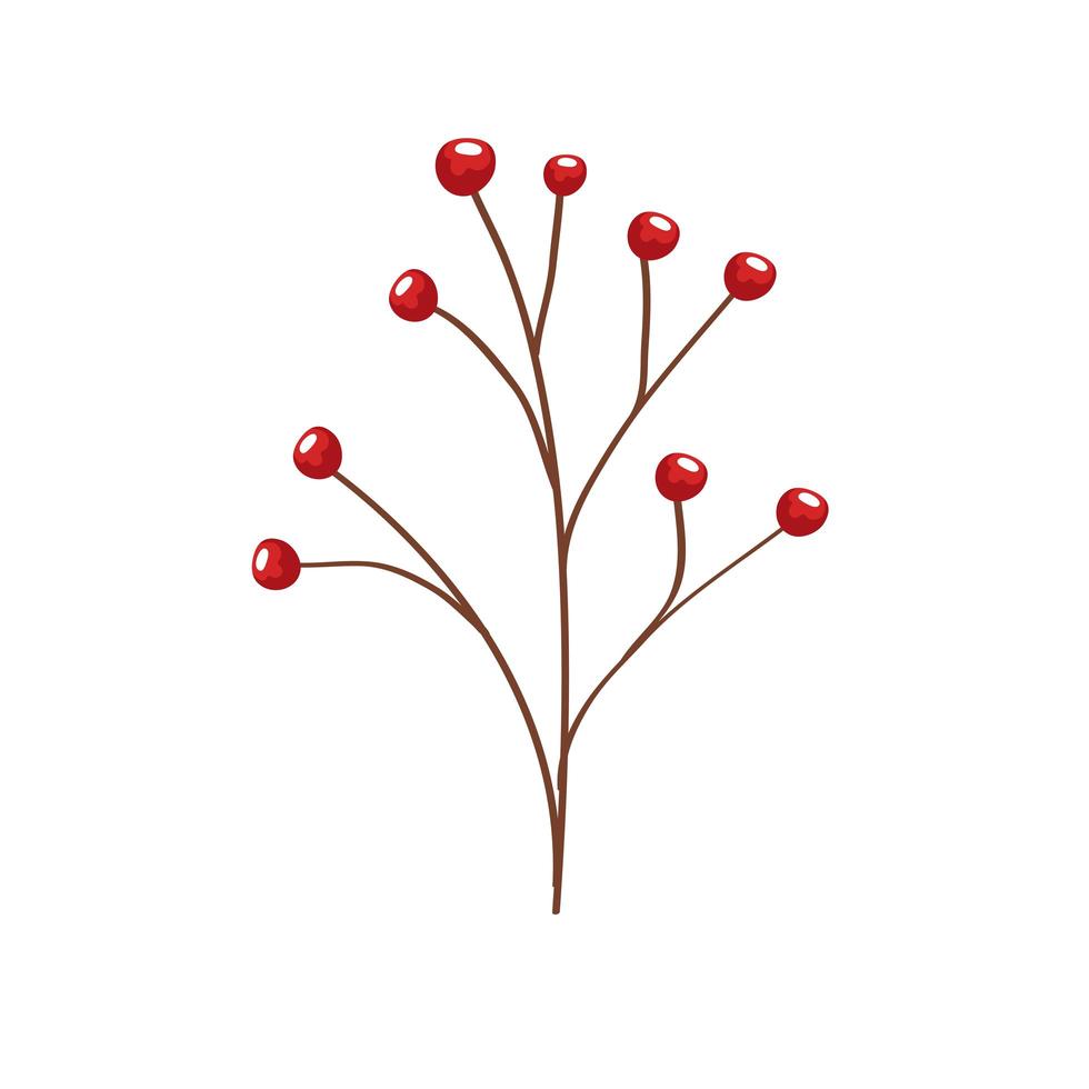 branch with seeds vector