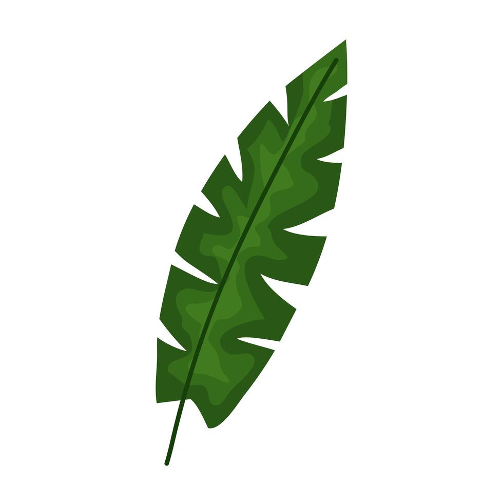 palm tree leaf vector