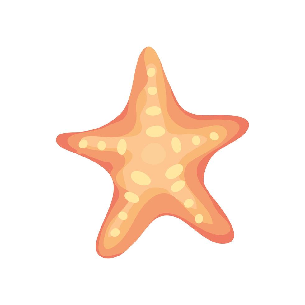 starfish shell icon vector