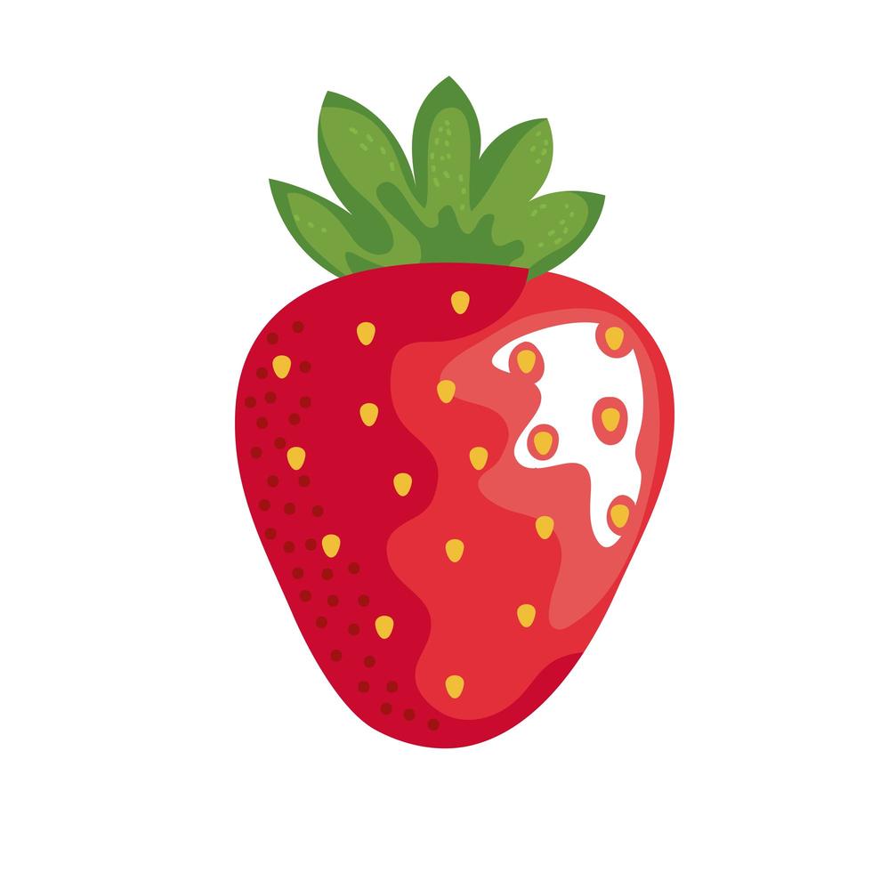 fresh strawberry fruit vector