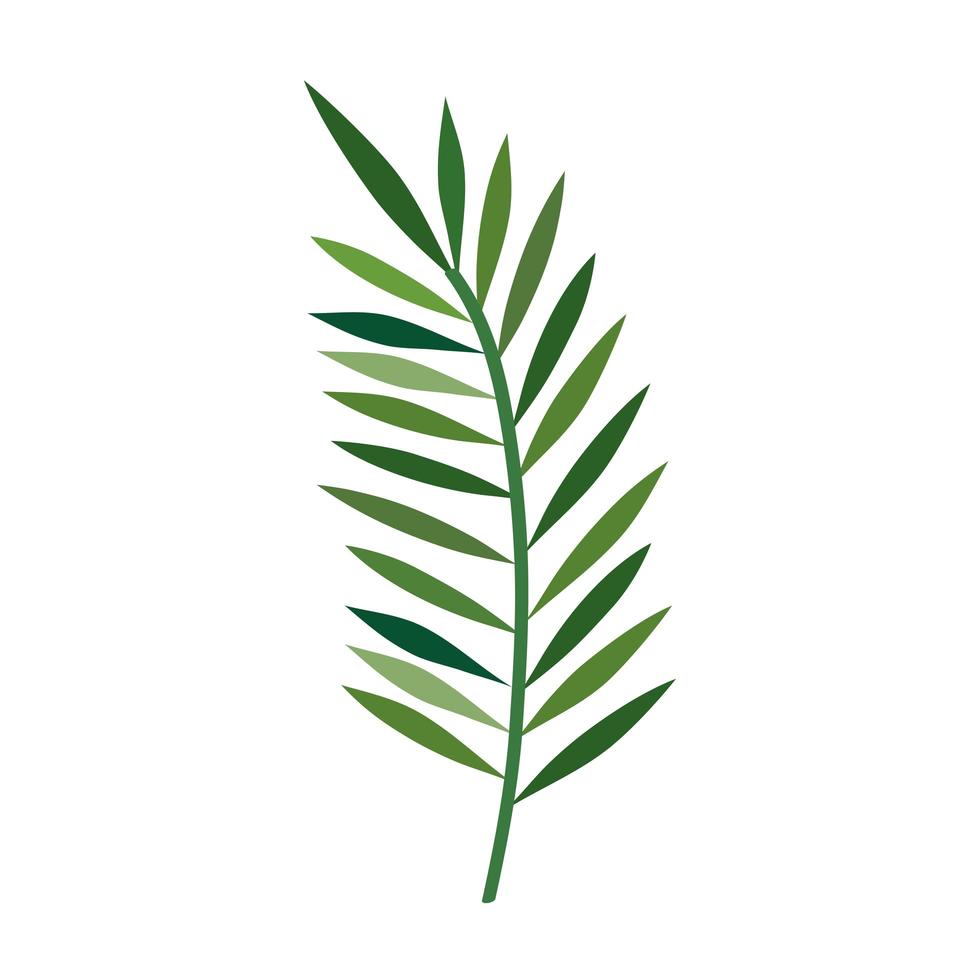 hoja de palma verde vector