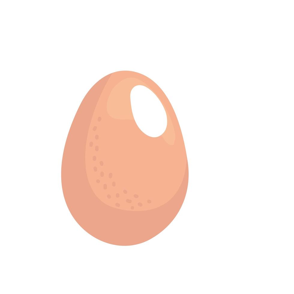 fresh egg protein vector