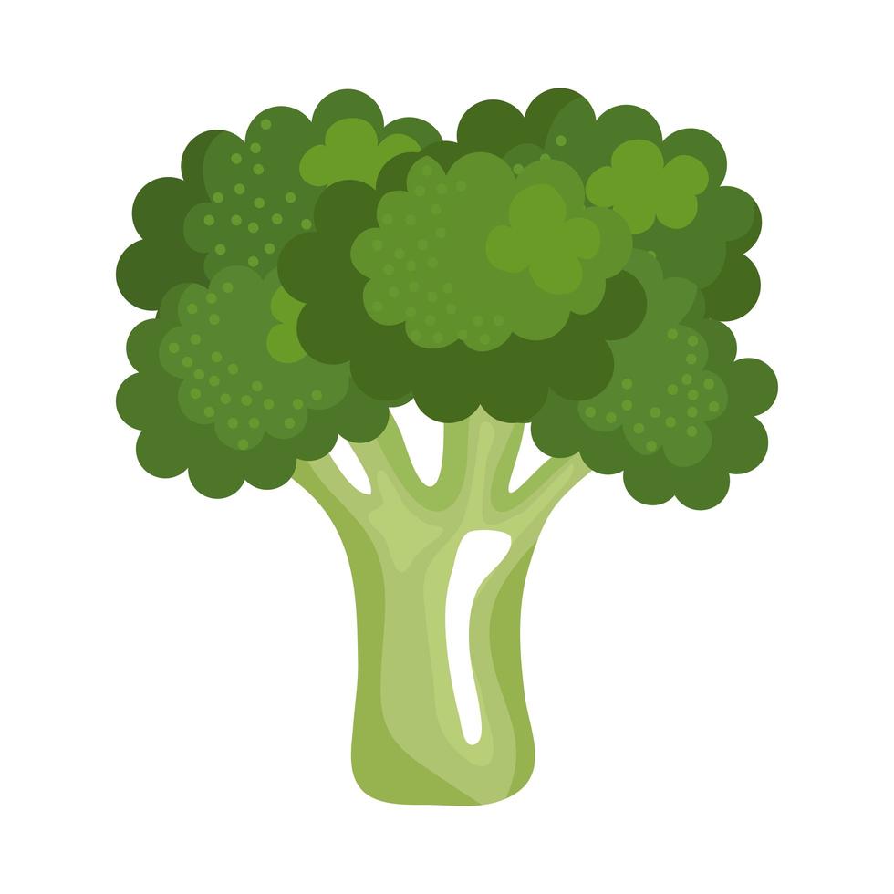 verduras frescas de brócoli vector