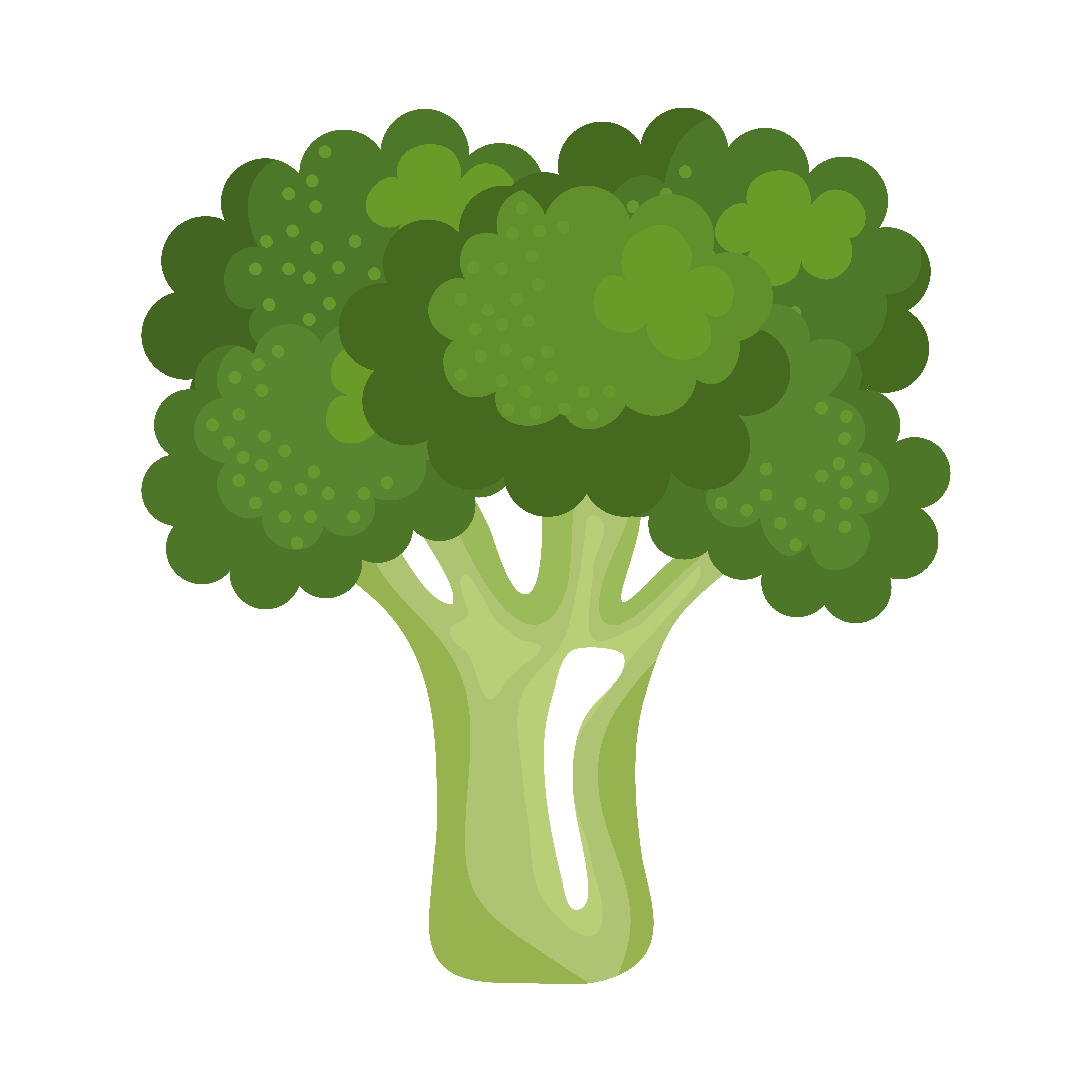 Broccoli Vector Art, Icons, and Graphics for Free Download