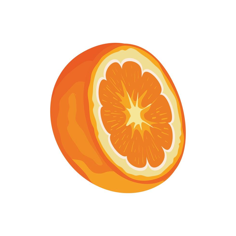 orange sliced fruit vector