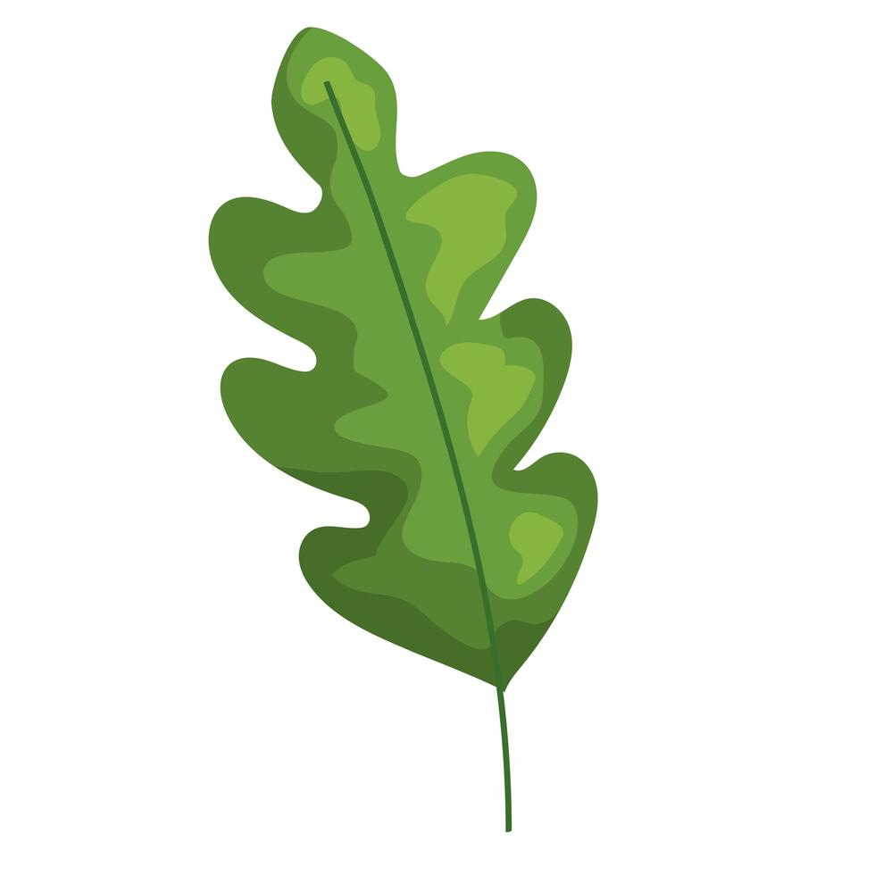 planta de hoja verde vector