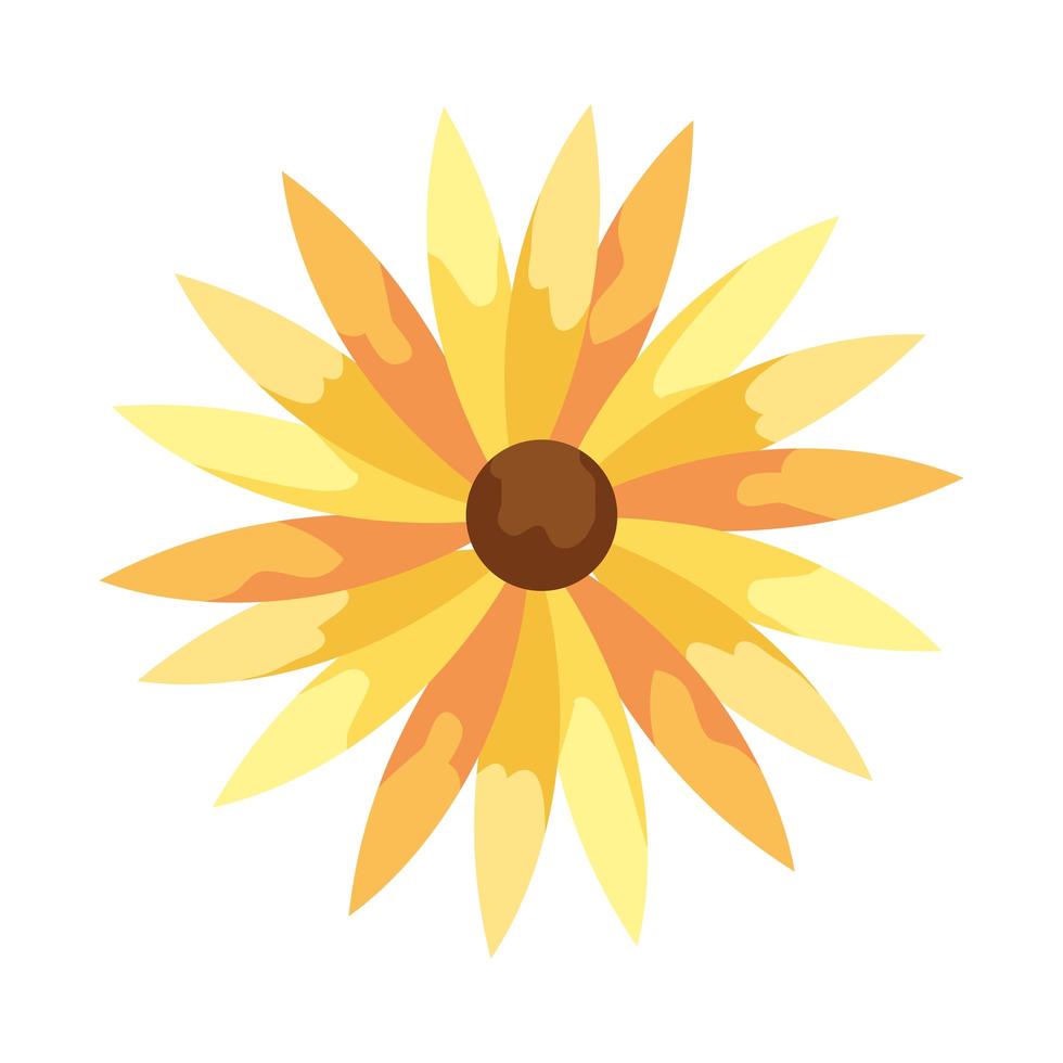 spring sunflower yellow vector