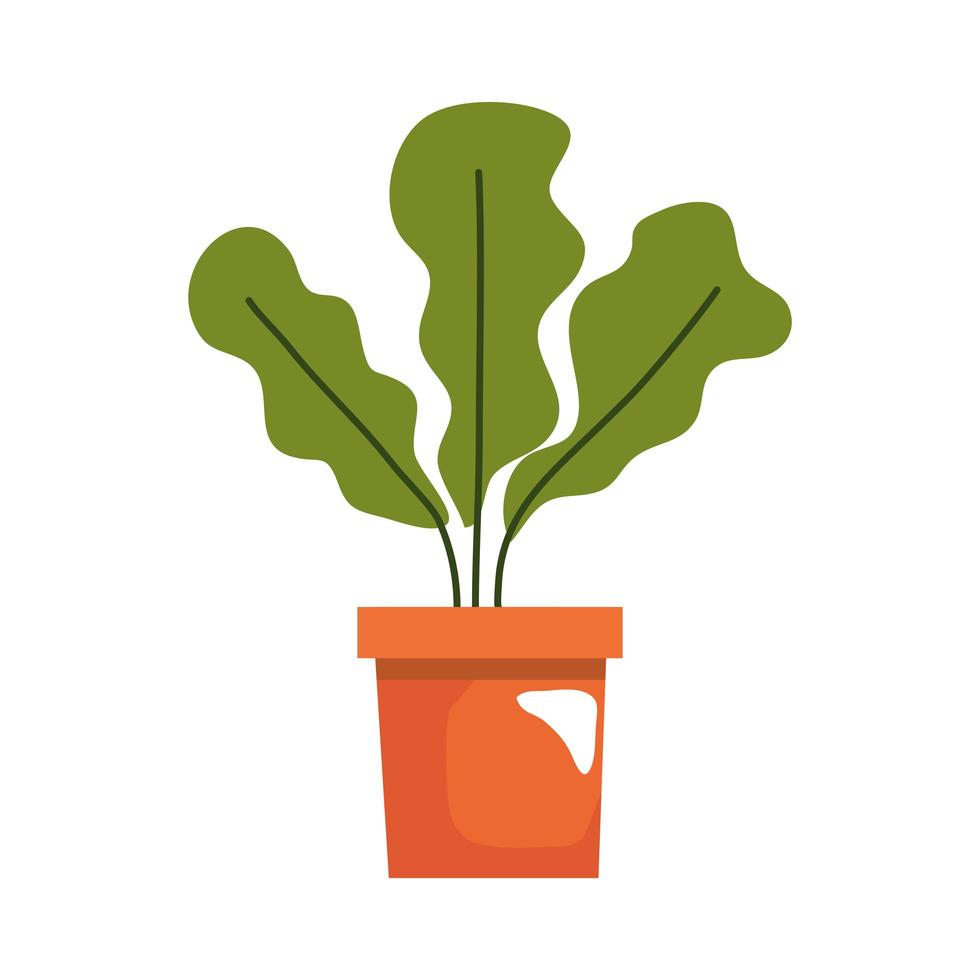 houseplant home forniture vector