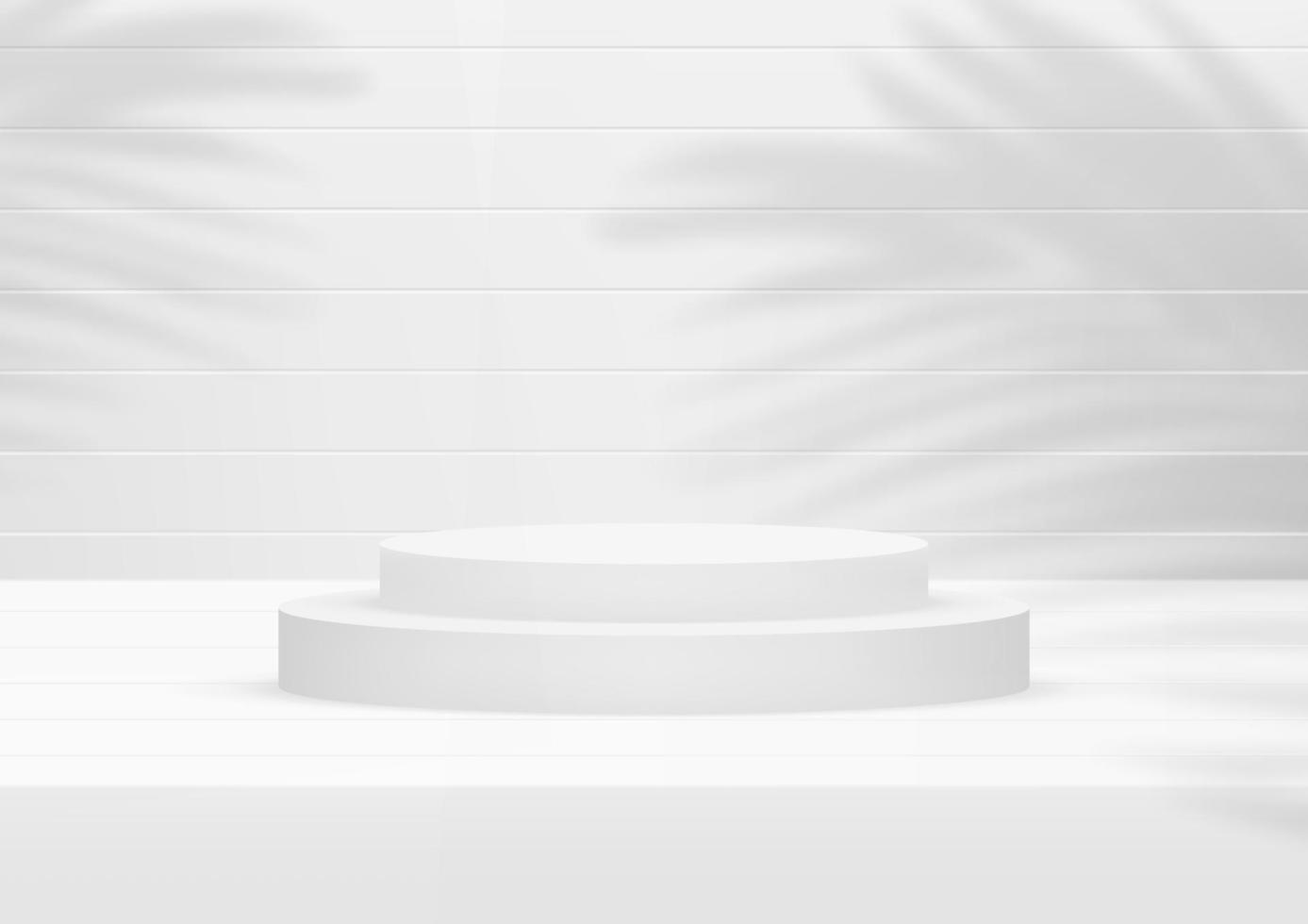 Empty podium studio white wood background with palm leaves for product display vector