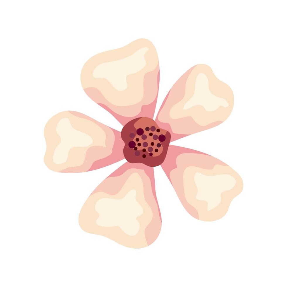 beautiful flower color white nature icon 2454550 Vector Art at Vecteezy