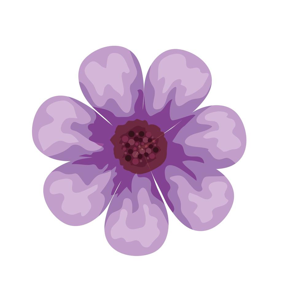 beautiful purple flower decorative icon 2454566 Vector Art at Vecteezy