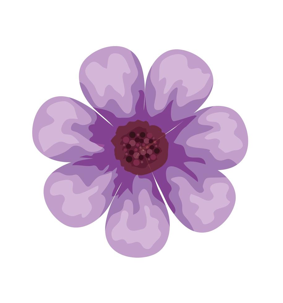 hermoso icono decorativo flor morada vector