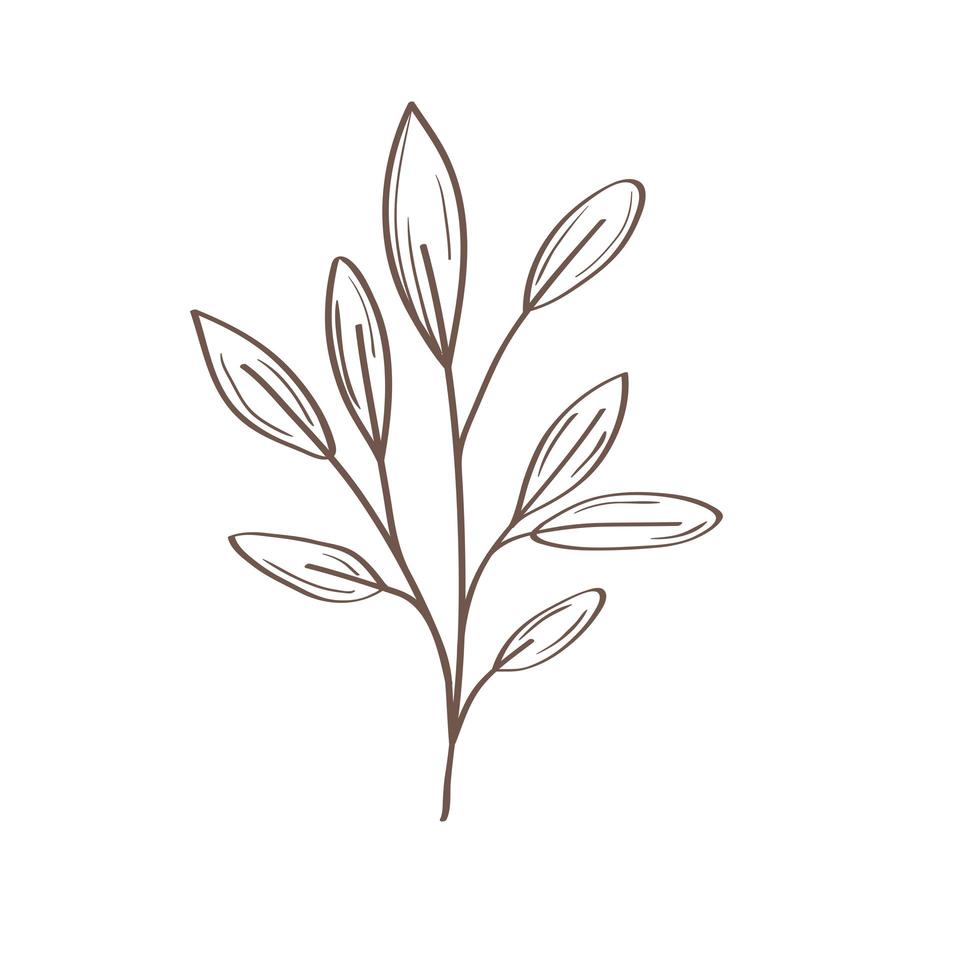 leafs plant hand drawn style icon vector