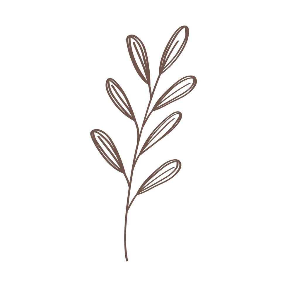 leafs plant hand drawn style vector