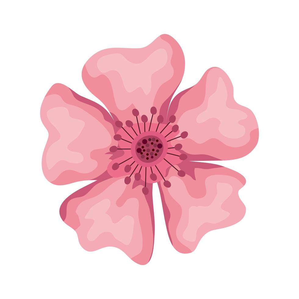 hermosa flor color rosa naturaleza icono vector