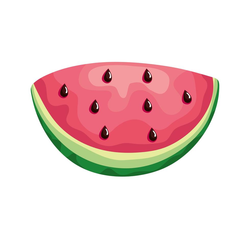 watermelon slice fresh fruit icon vector