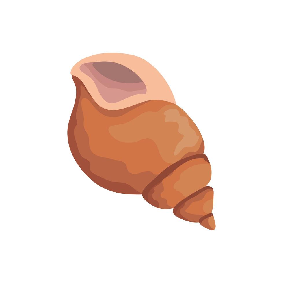 sea shell orange color isolated icon vector