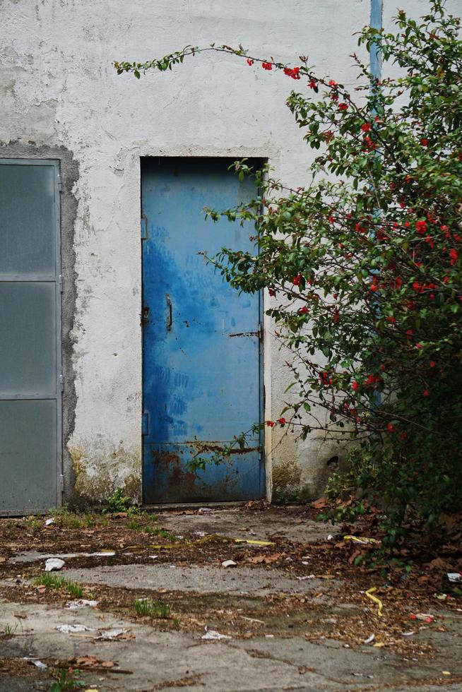 door on the white facade of the building photo