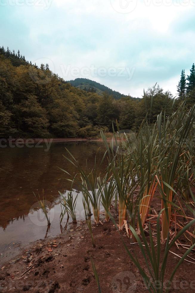 lake in the mountain photo