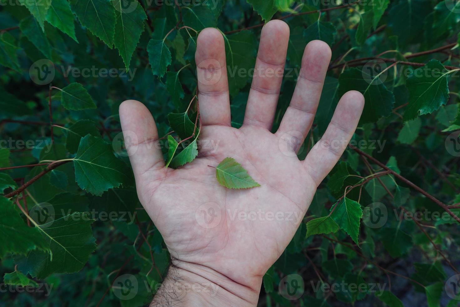 mano con hojas verdes sintiendo la naturaleza foto