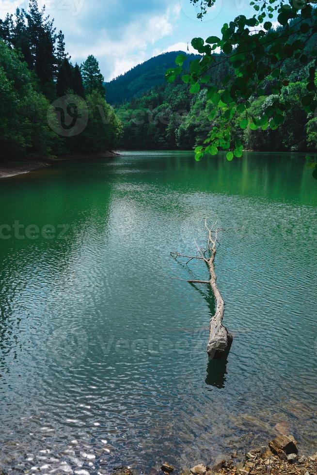 lake in the mountain photo