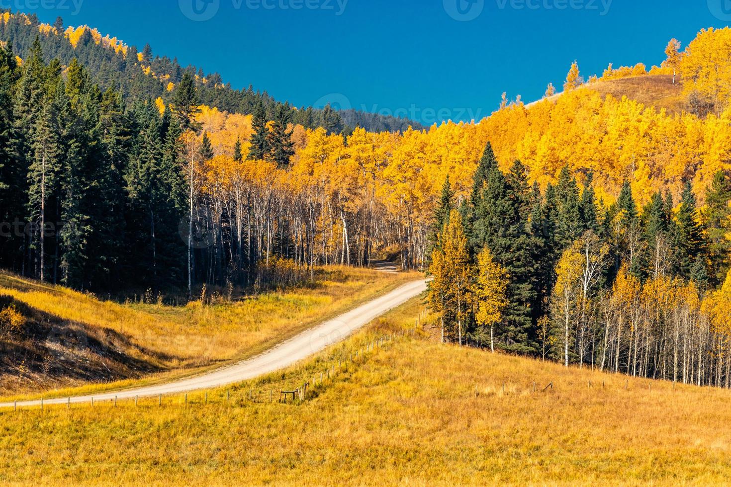 colores de otoño en el país big c md de big horn alberta canadá foto