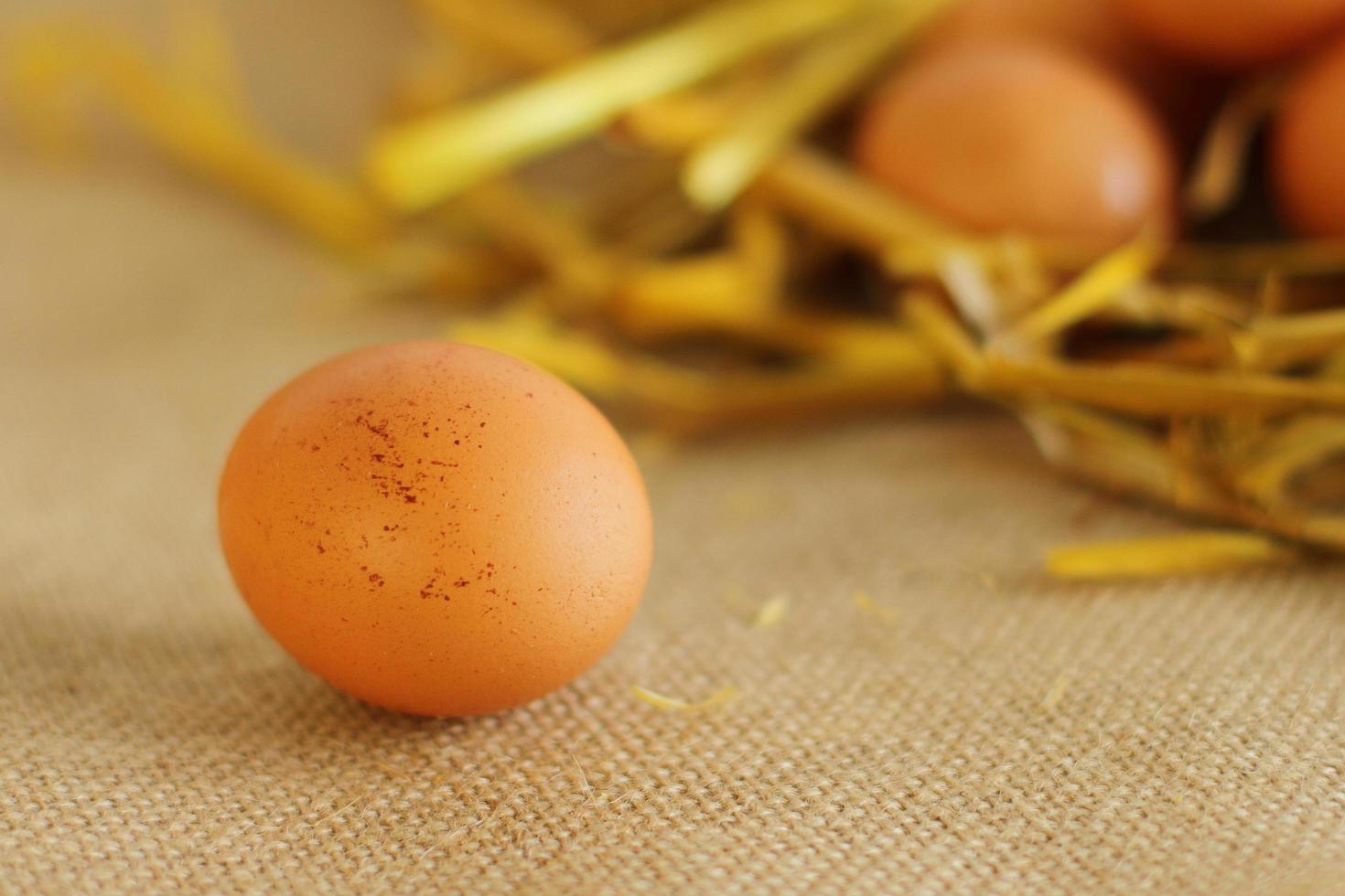 Bandeja de huevos de granja crudos sobre fondo de tela de saco foto