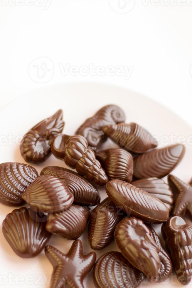 Chocolate candies traditional Belgian shell shape place for text photo