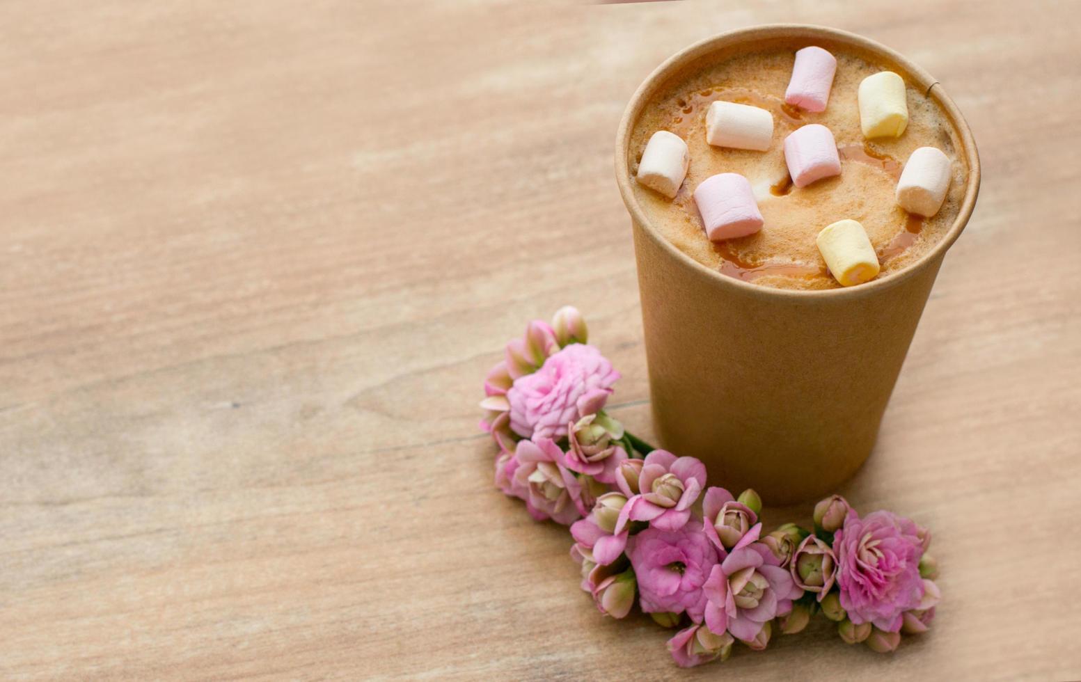 Hot chocolate with marshmallows photo