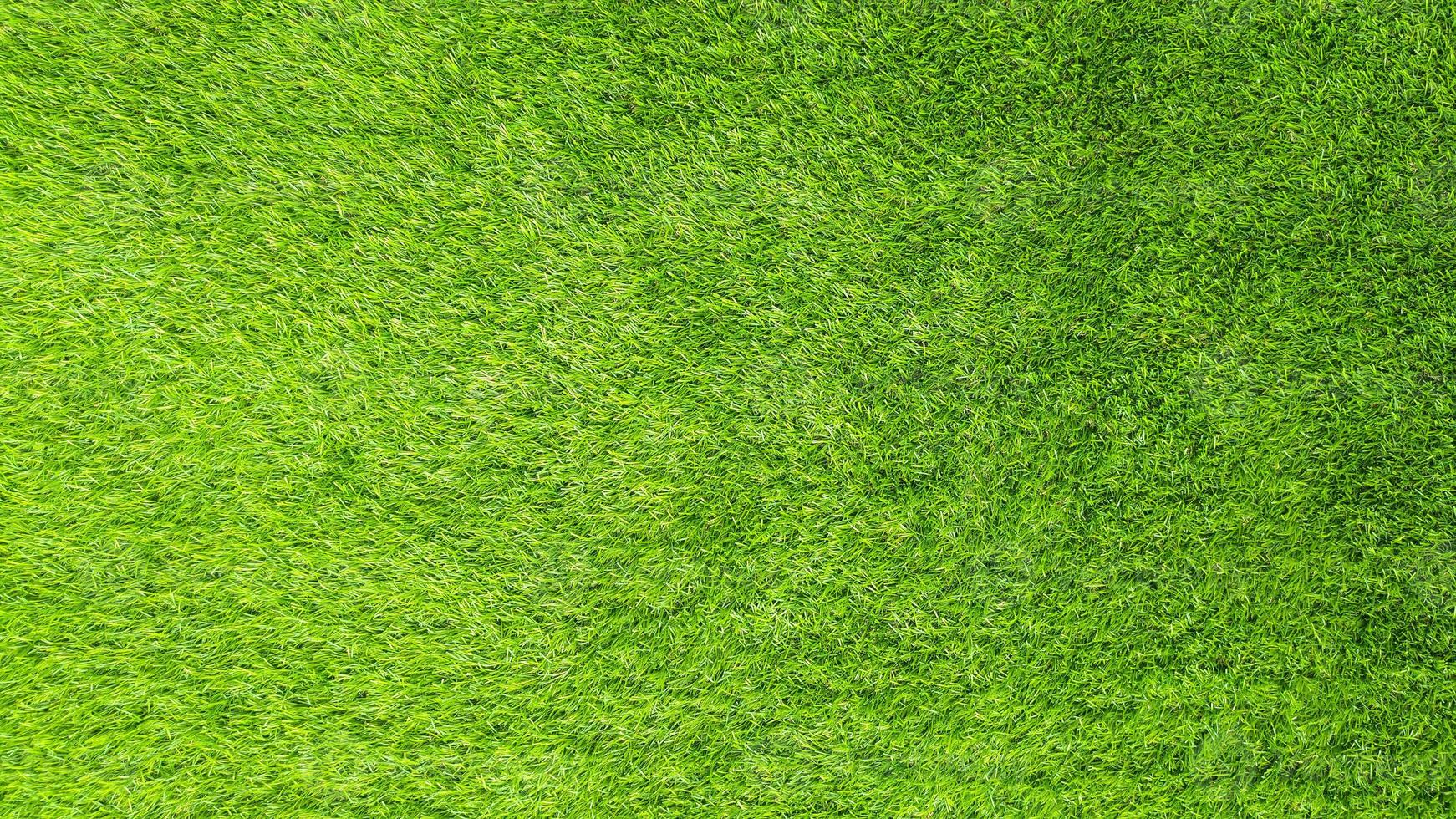 Artificial green grass background photo