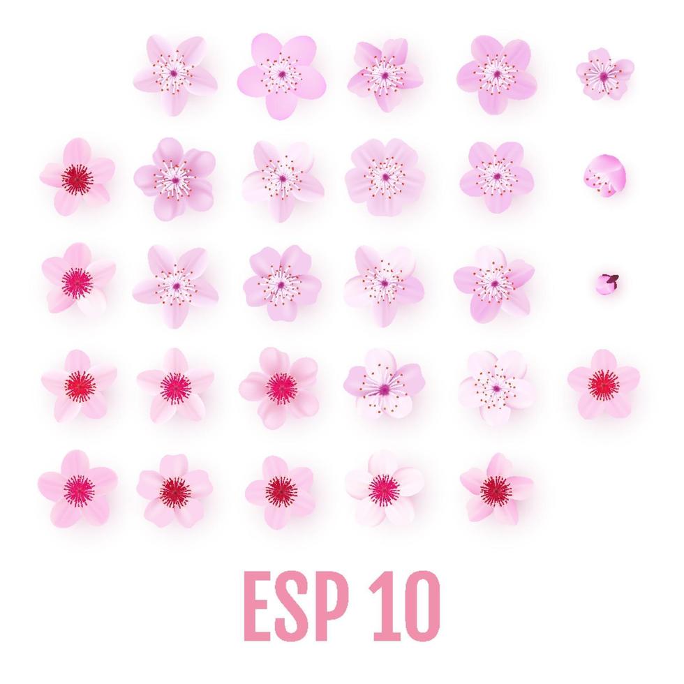 Realistic pink sakura petals icon set Cherry flowers vector