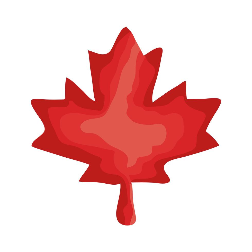 maple leaf canadian flat style vector