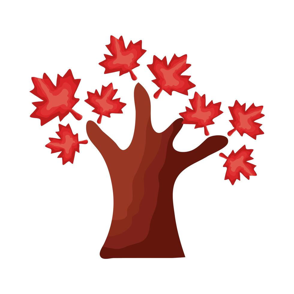 maple tree and leafs canadian flat style vector