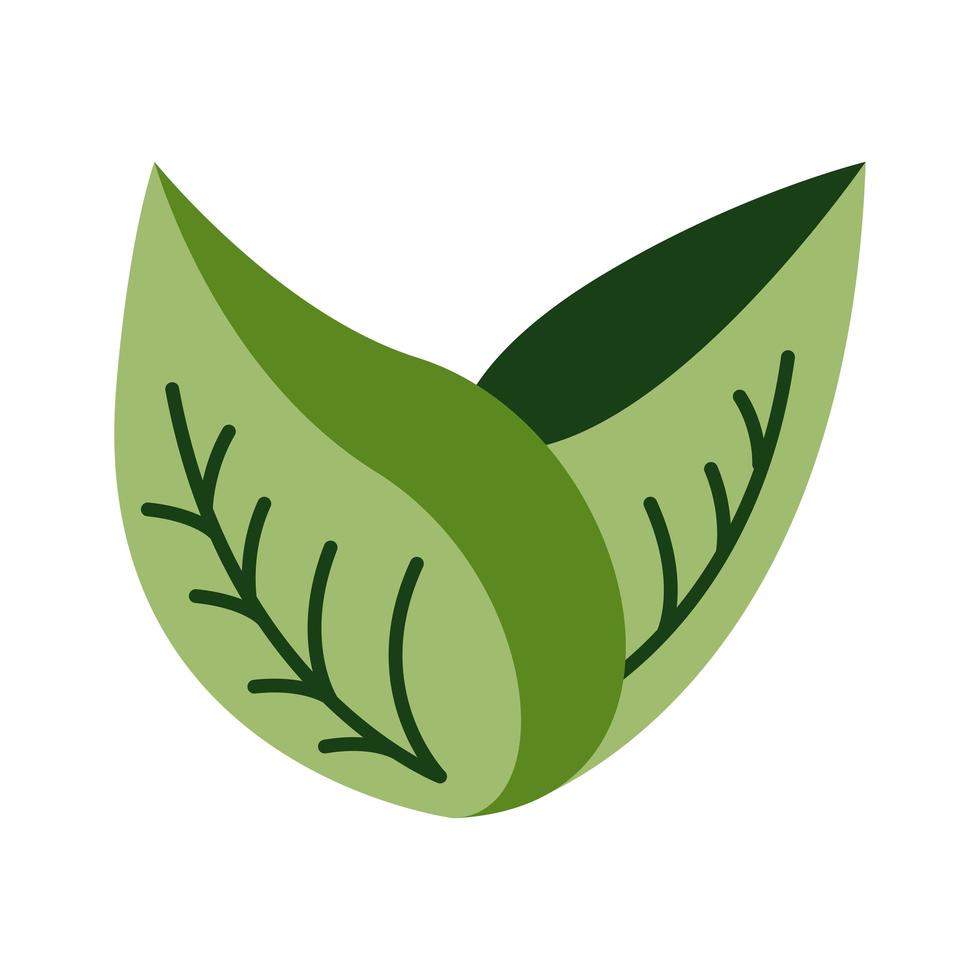 leafs plant organic flat style vector