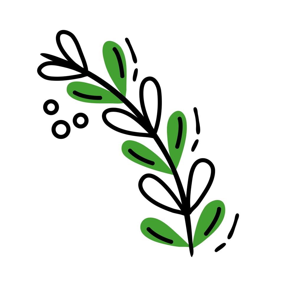 branch with leafs line and fill style vector