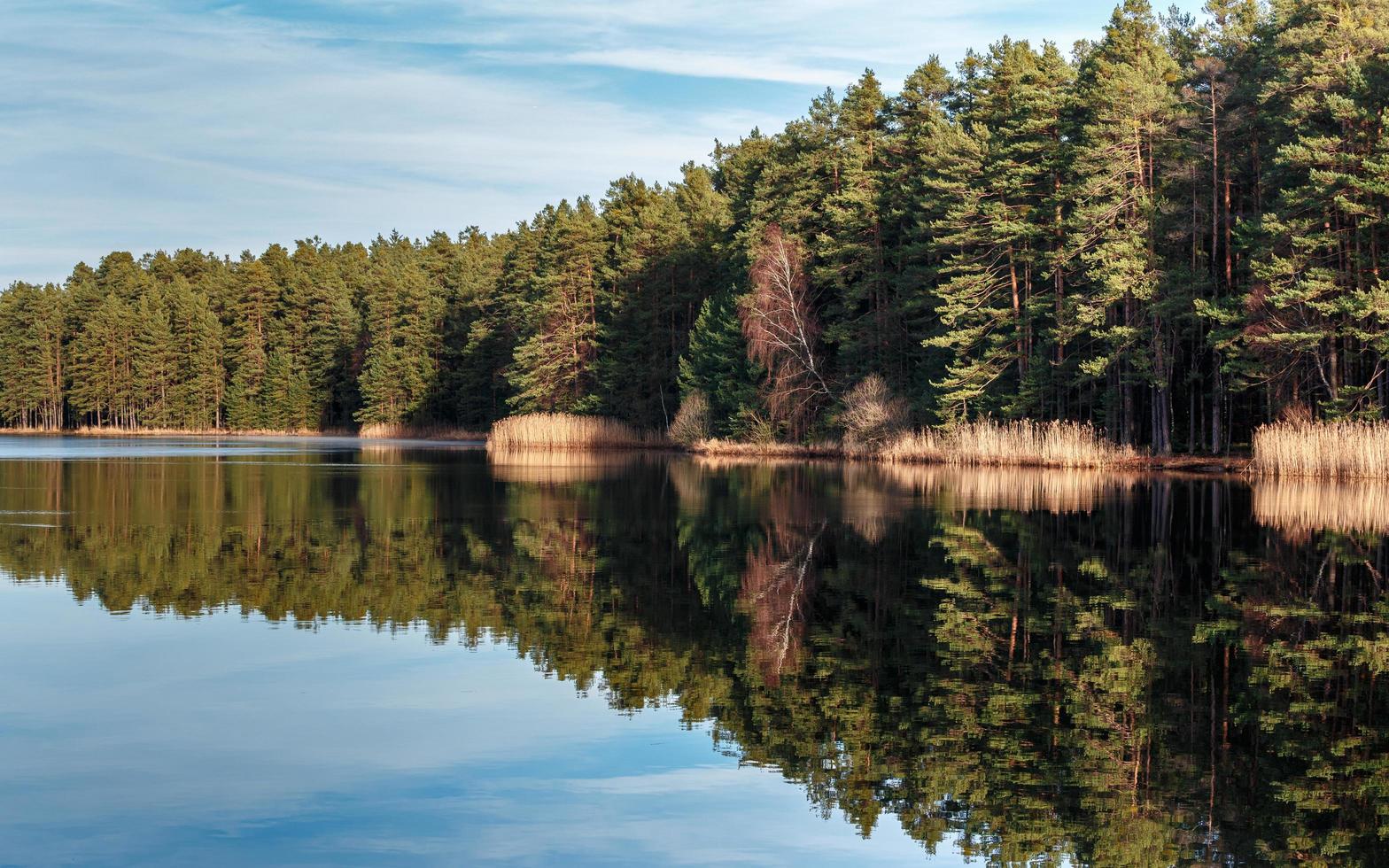 Autumn lake in summer photo