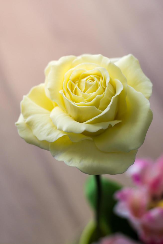 pasta de goma rosa para decorar la torta foto