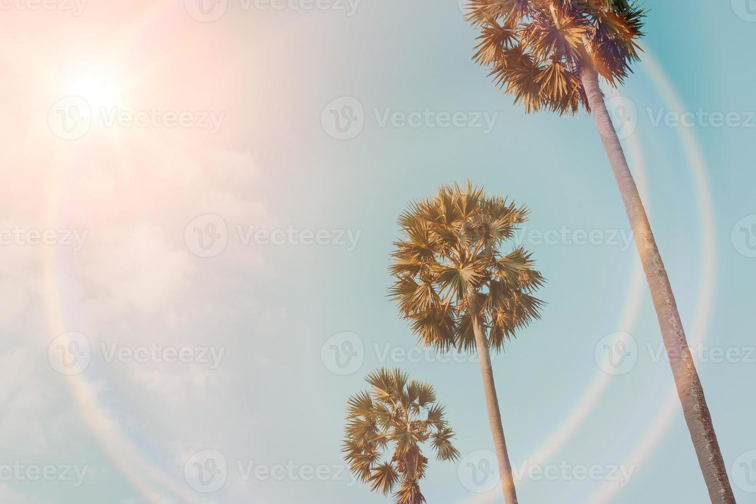 Palmeras tropicales cocoteros en el cielo del atardecer llamarada y naturaleza bokeh foto