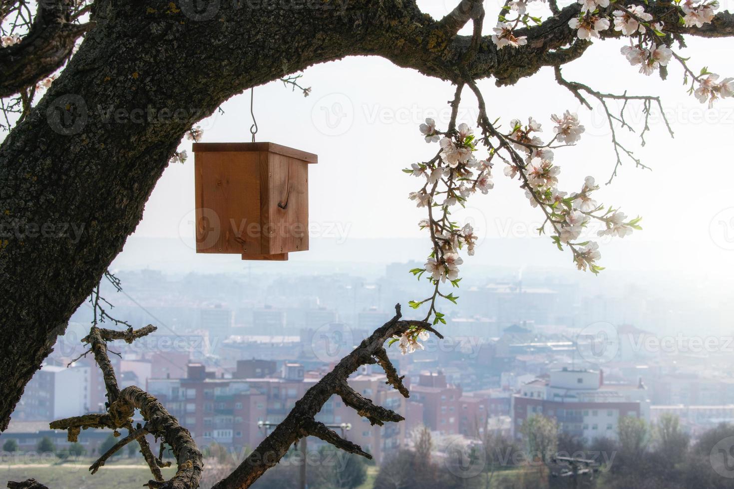 Bonita casita para aves de madera colgando de un árbol foto
