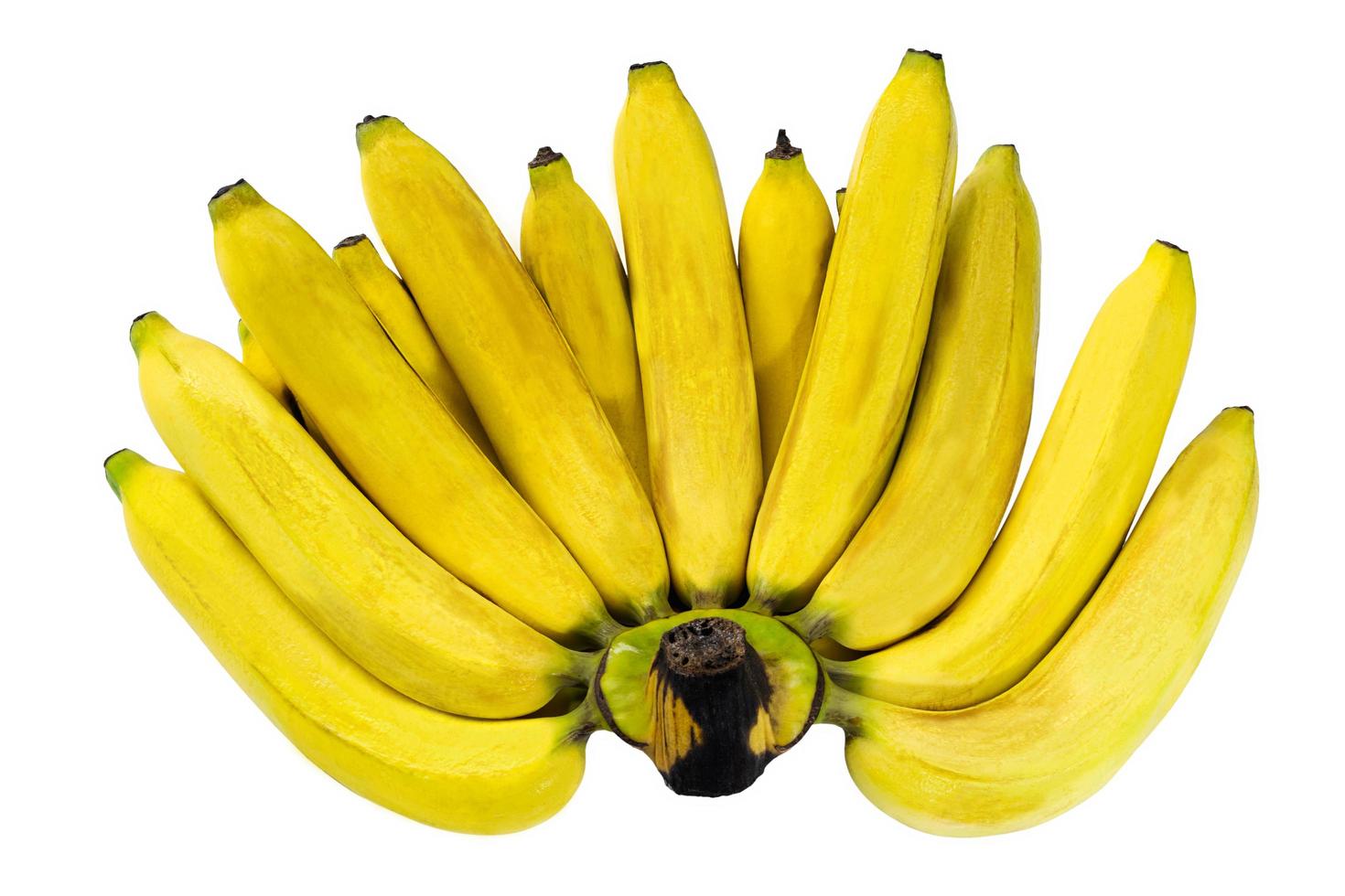 Closeup a comb of ripe yellow bananas isolated on white background photo