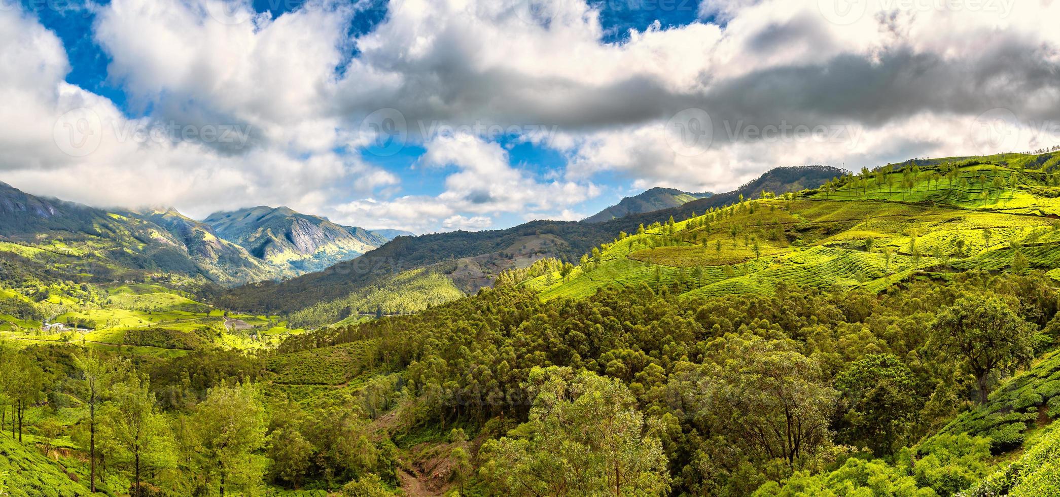 Munnar Valley in Kerala India photo