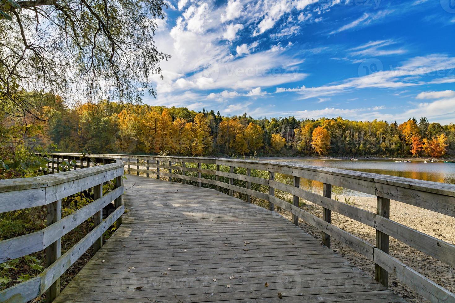 Board walk beside the Kelso lake at Kelso conservation area photo