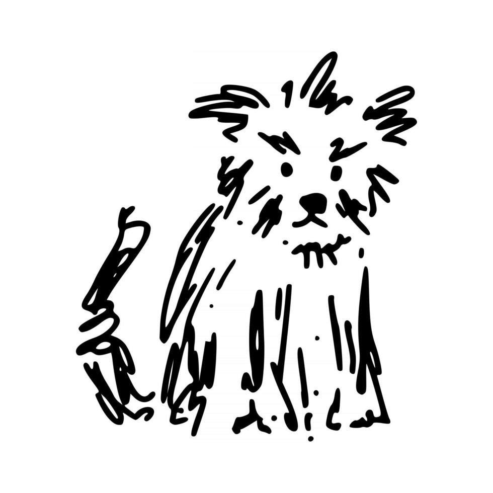 Scruffy Pet Terrier Dog Doodle vector