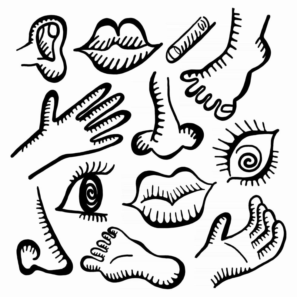 Human Anatomy Icon Doodles vector