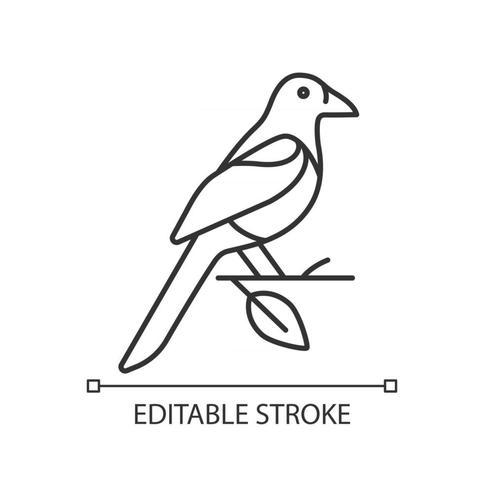 Oriental magpie linear icon vector
