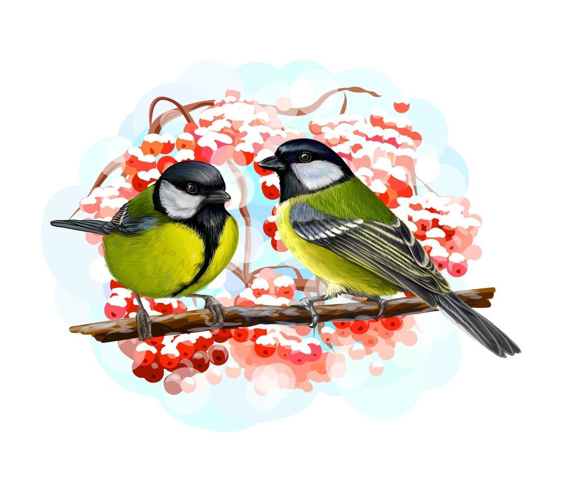 Tit birds sitting on a branch on white background hand drawn sketch Vector illustration of paints