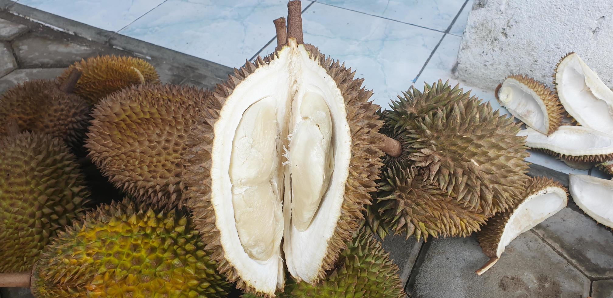 fruta fresca de durian, formato de banner foto