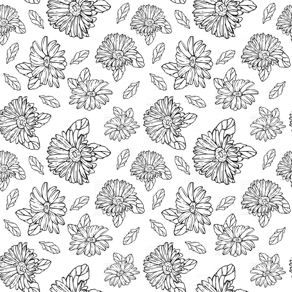 Seamless pattern with black and white gerberas and leaves Floral endless background for seasonal spring and summer designs vector